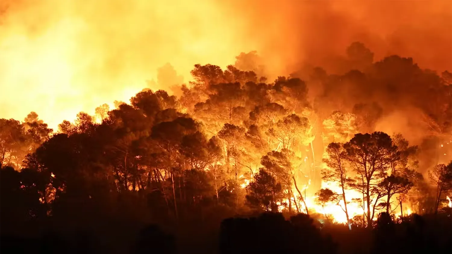 A massive wildfire engulfs the pine forests of the Corbières hills in southern France during the August 2025 heatwave, with intense orange flames and thick smoke rising into the sky