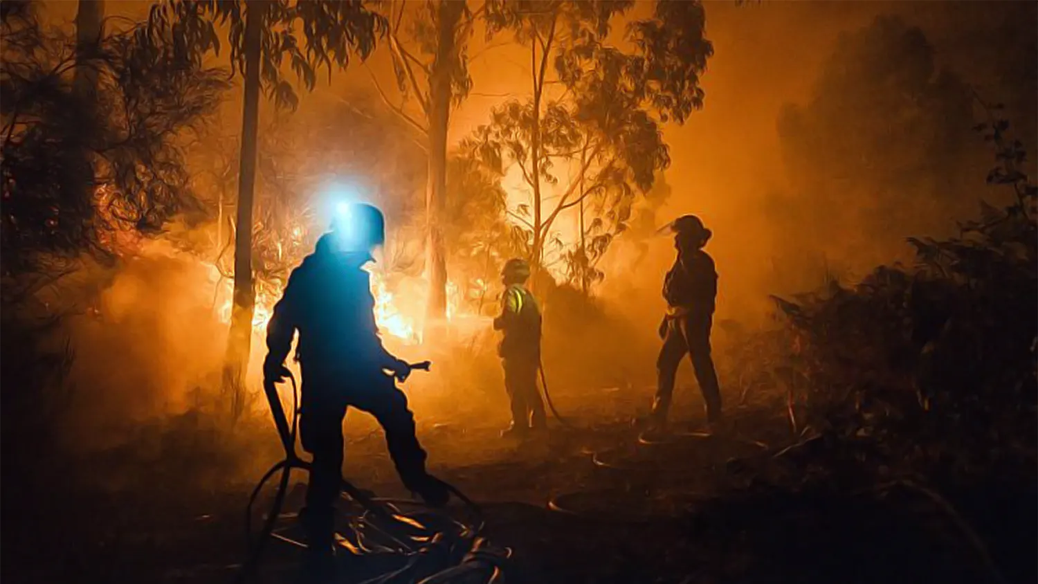 Spain Declares Heatwave ‘Most Intense on Record’ as Wildfires Ravage the Country