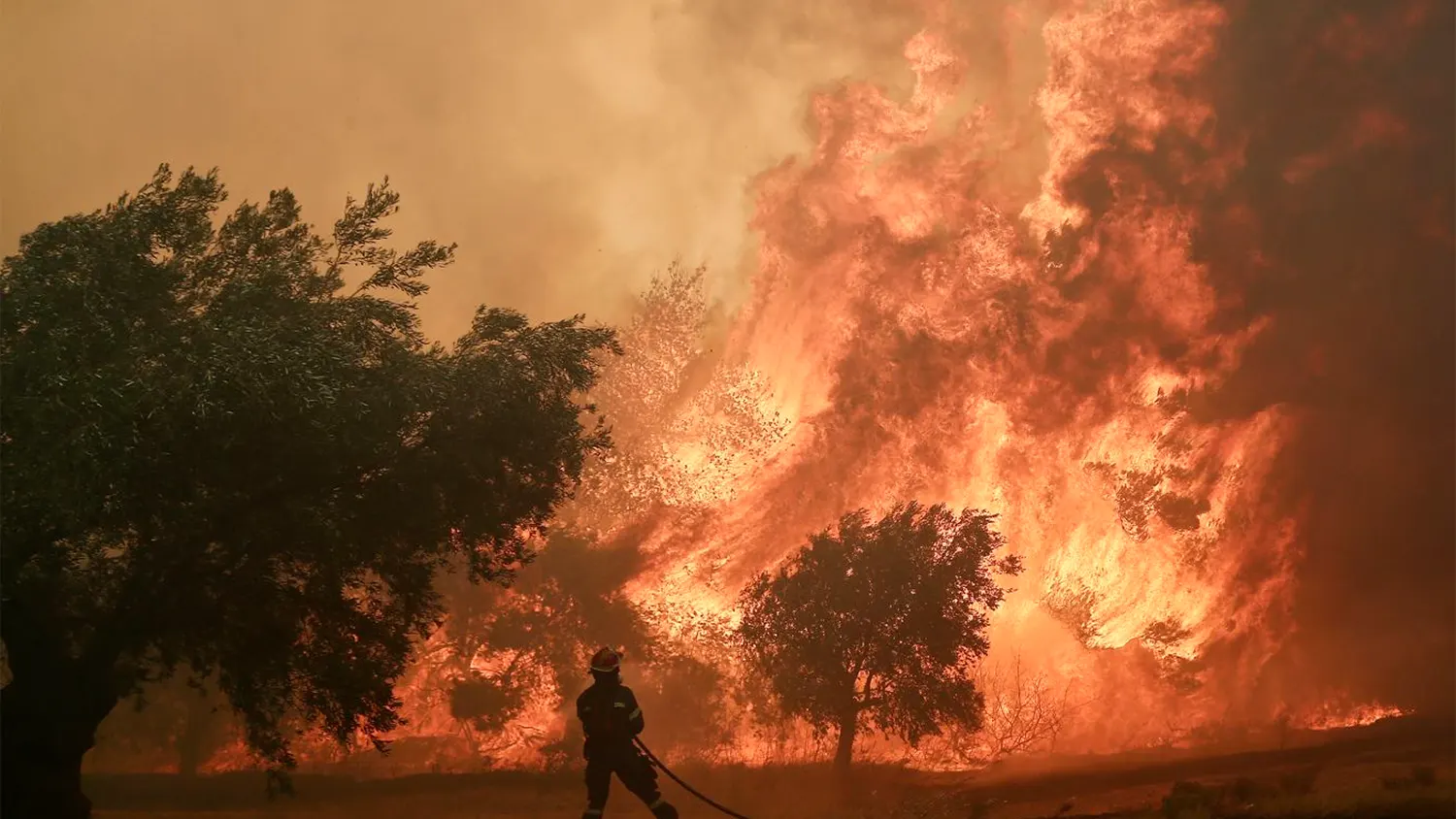 Spain Burns as Catastrophic Wildfires Ravage the Country