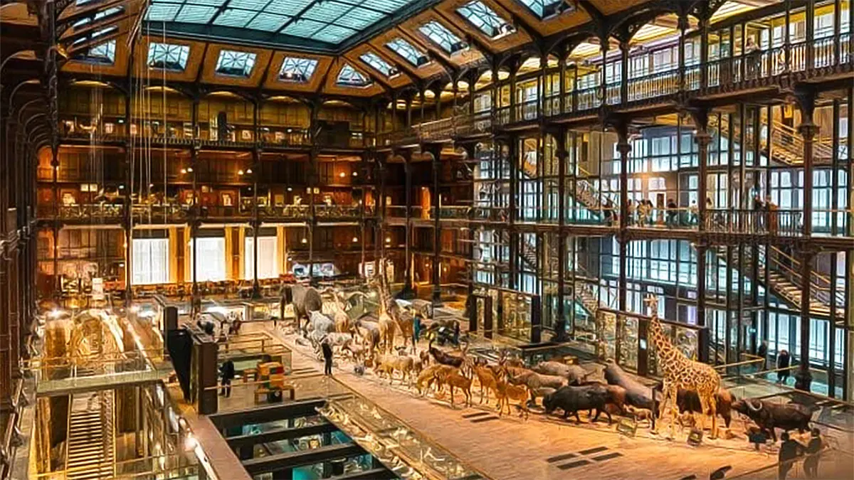 Gold worth $700,000 was stolen from the Natural History Museum in Paris.