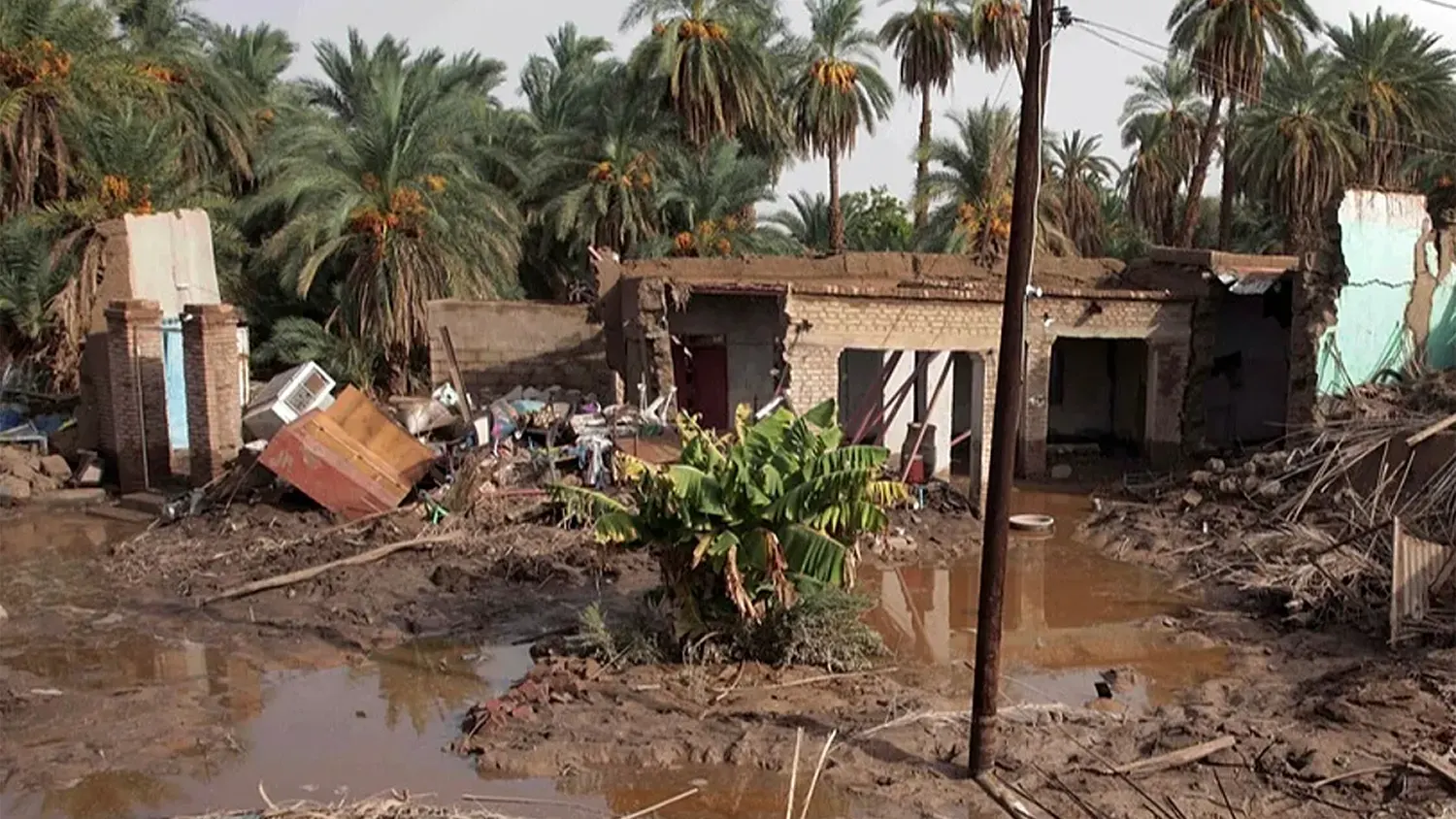 A wide view of a village in the Marra Mountains of Darfur, Sudan, following a catastrophic landslide, showing widespread destruction to mud-brick homes, deep mud, floodwaters, and toppled trees amidst a palm grove