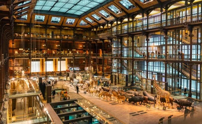 Gold worth $700,000 was stolen from the Natural History Museum in Paris.