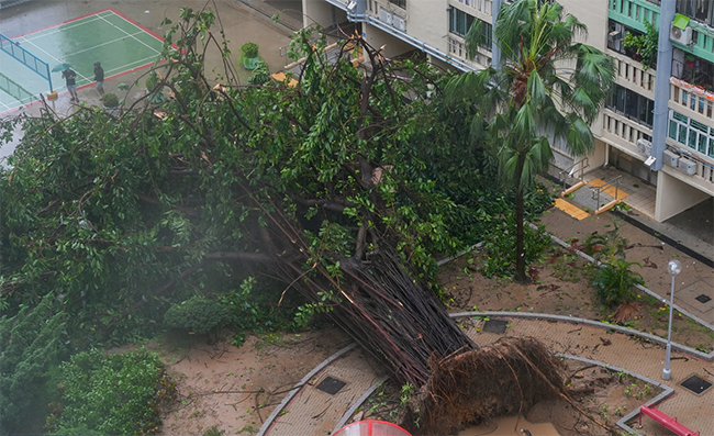 Super Typhoon Ragasa: A Near Miss That Paralyzed Hong Kong and Rewrote History