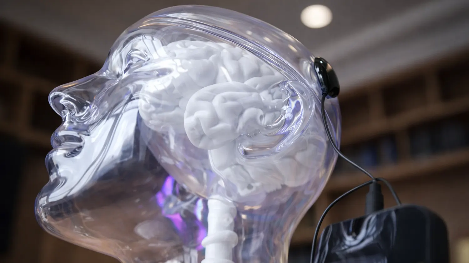 The World’s First Commercial Brain Computer Interface Is Here