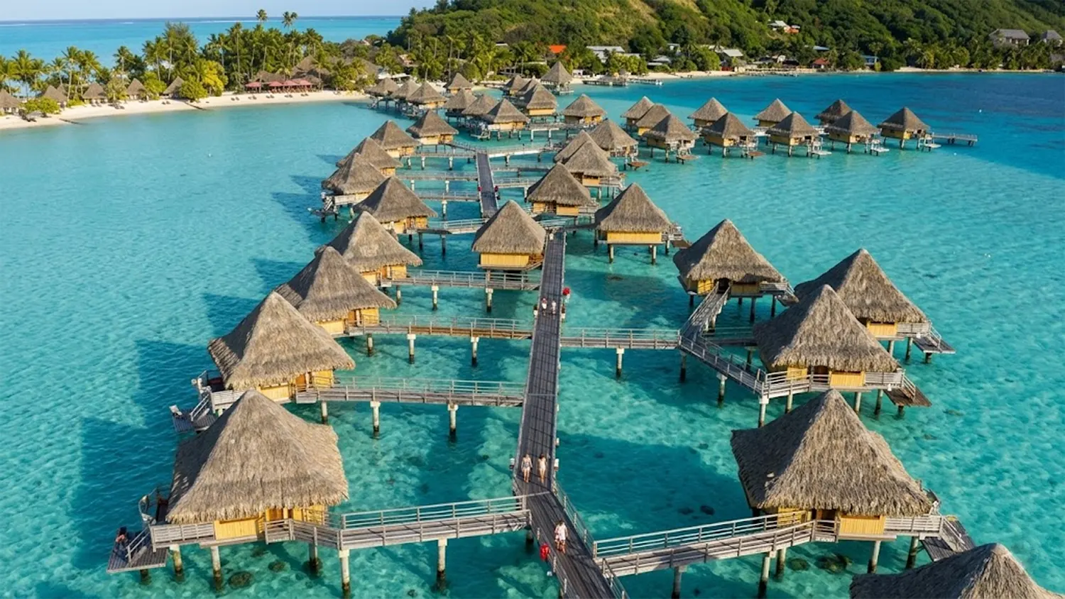 The Cleanest Air on Earth: What French Polynesia Can Teach Us About Breathing Better