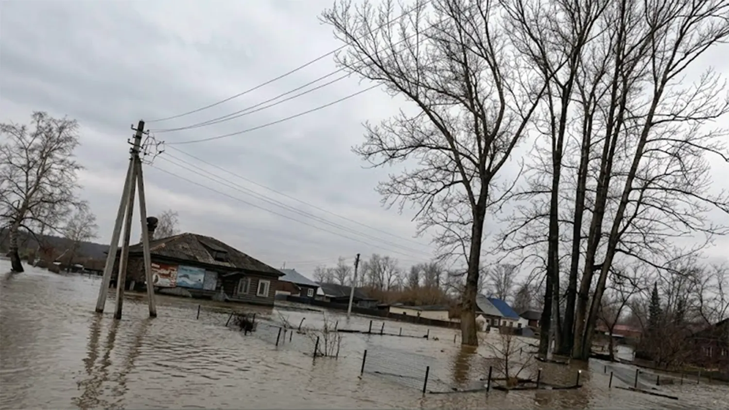 Russia Flood Crisis Escalates: Inside the Growing Emergency in Dagestan and Chechnya