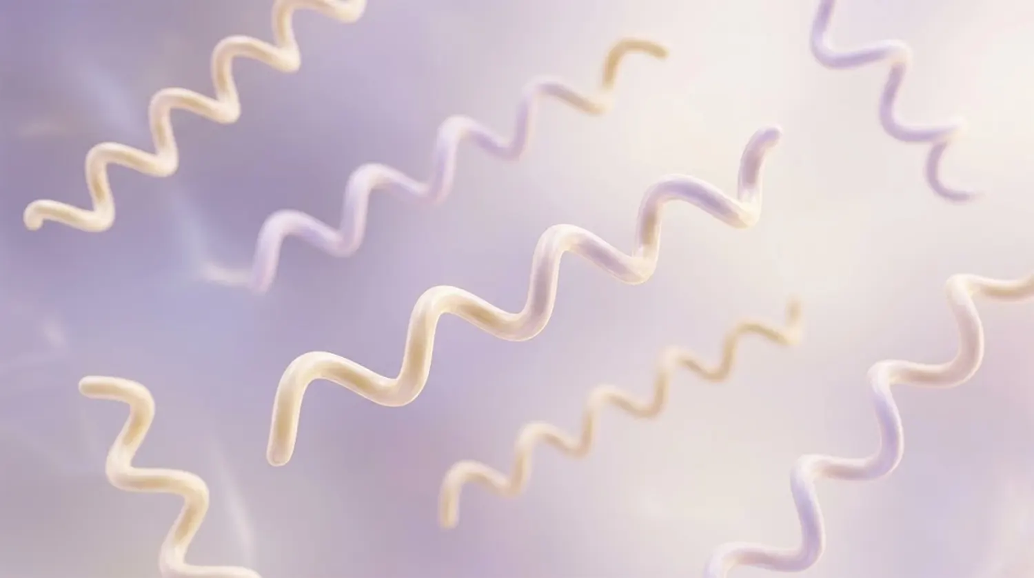 What You Need to Know About Syphilis in 2026: Signs, Treatment, and Prevention