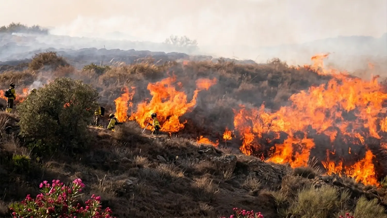 Spain’s Deadliest Wildfire in Decades Kills 12 as Europe Battles Widespread Blaze Crisis