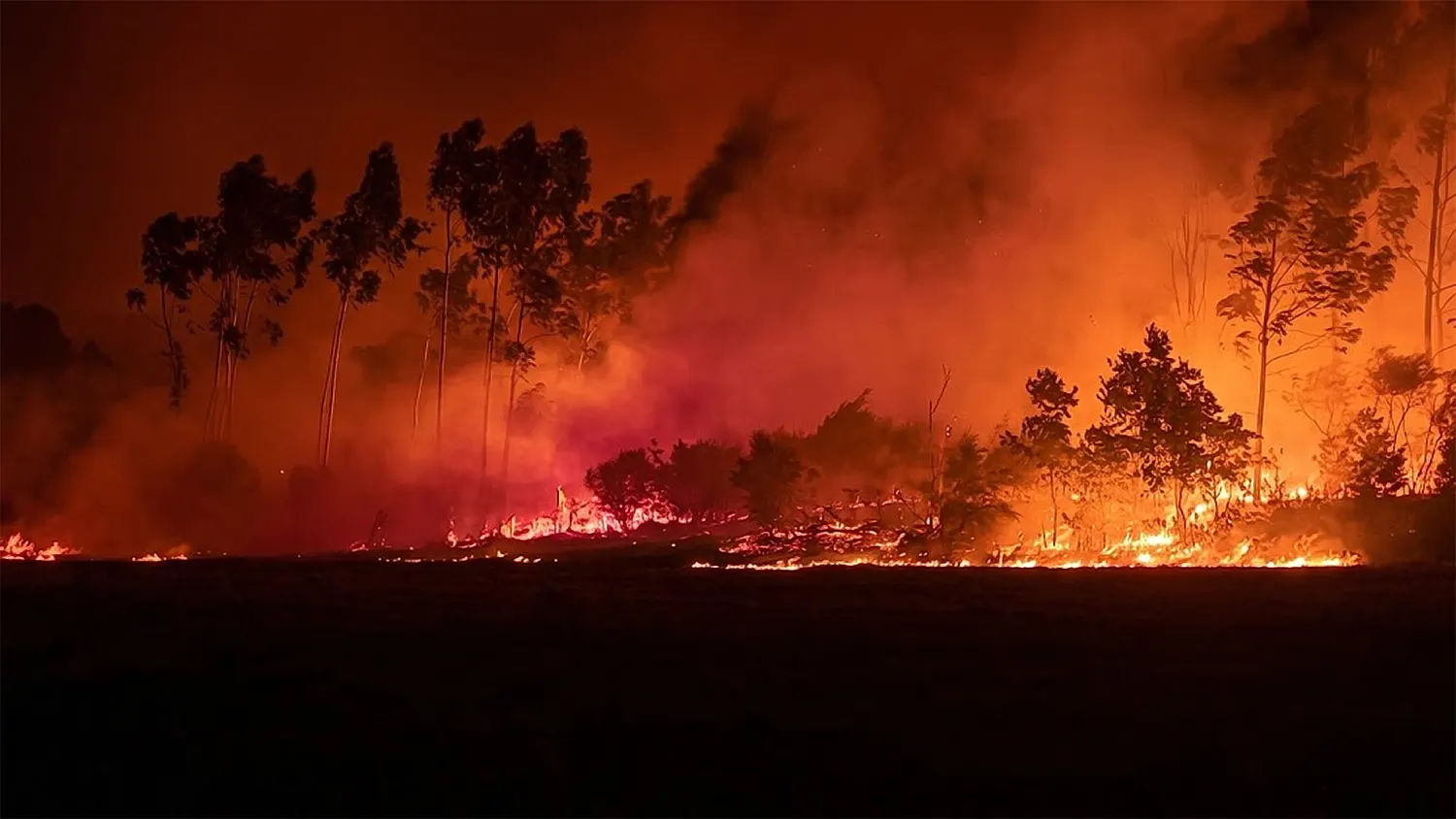 Europe Battles Worsening Wildfires as Heatwave Pushes Fire Risk to Critical Levels